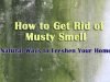 How to Get Rid of Musty Smell – 10 Best Ways for Musty Odor Removal How to Get Rid of Musty Smell