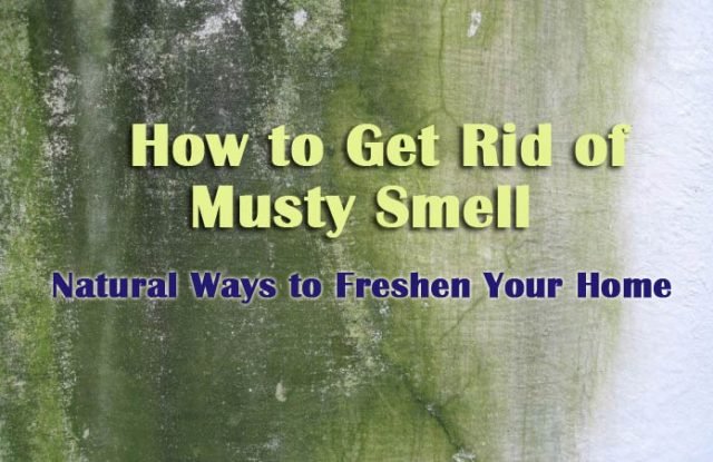 How to Get Rid of Musty Smell