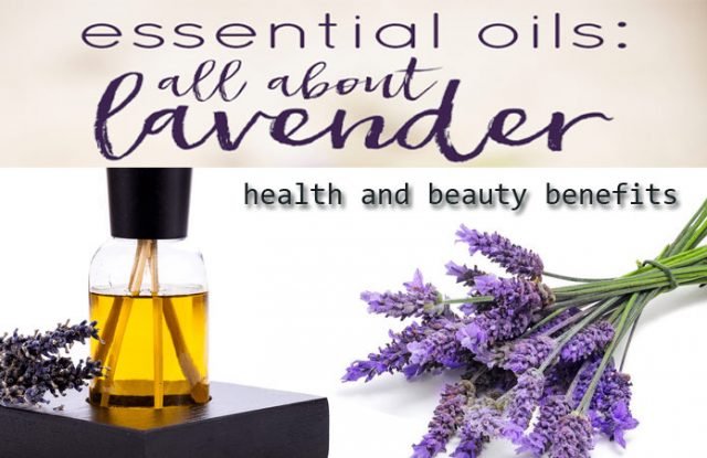 15 lavender essential oil uses and health and beauty benefits