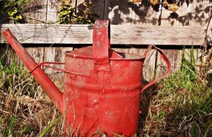 15 Natural Ways To Get Rid Of Garden Weeds Permanently Natural Ways To Get Rid Of Garden Weeds Permanently