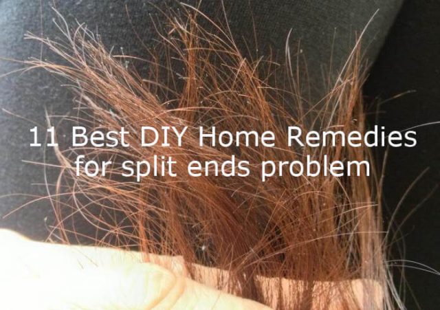 DIY Home Remedies to get rid of split ends problem