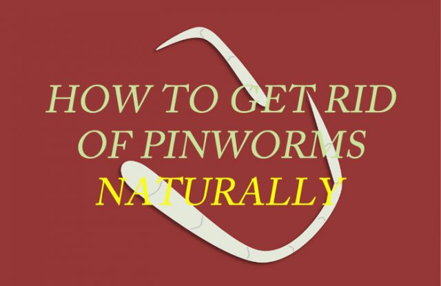 Home Remedies to Get Rid of Pinworms Naturally and Fast