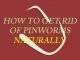 10 Safe Home Remedies to Get Rid of Pinworms Naturally and Fast Home Remedies to Get Rid of Pinworms Naturally and Fast