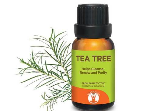 Tea tree oil Keloid On Nose Piercing Treatment