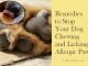 10 Easy Home Remedies to Stop Your Dog Chewing and Licking Allergic Paws Home Remedies to Stop Your Dog Chewing and Licking Allergic Paws